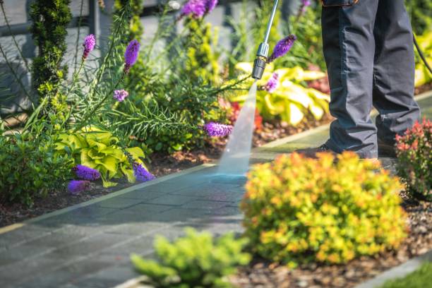 Best Restaurant Pressure Washing  in Manhasset Hills, NY